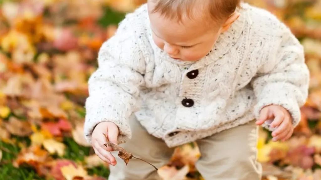 Young child picking leaves